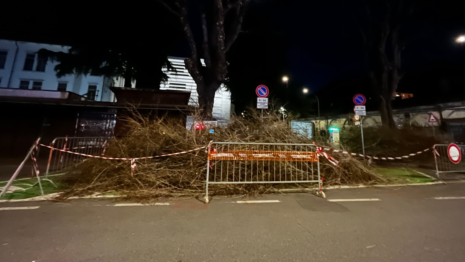 I rami tagliati lasciati per tutta la notte tra il 13 ed il 14 marzo 2025 sugli stalli di ricarica in piazza della Repubblica ad Aosta