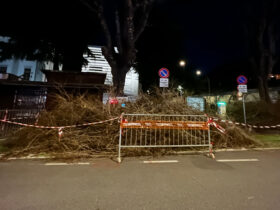 I rami tagliati lasciati per tutta la notte tra il 13 ed il 14 marzo 2025 sugli stalli di ricarica in piazza della Repubblica ad Aosta