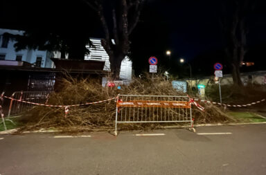 I rami tagliati lasciati per tutta la notte tra il 13 ed il 14 marzo 2025 sugli stalli di ricarica in piazza della Repubblica ad Aosta