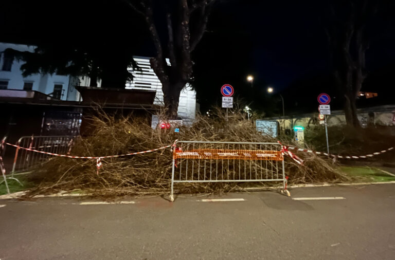 I rami tagliati lasciati per tutta la notte tra il 13 ed il 14 marzo 2025 sugli stalli di ricarica in piazza della Repubblica ad Aosta